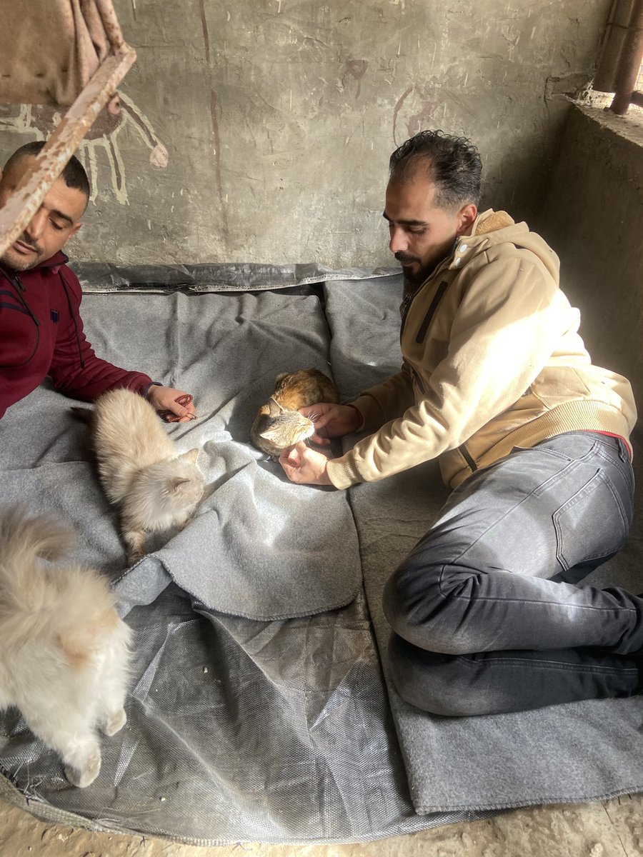 SARAMoh69489245's tweet image. Thank you, my friends, for showing me and my family your unconditional support for over two years. ♥️🫂People are talking about the years end, and it made me think that I'm grateful for how things are now.🥹 Only this January my wife and Maria and I still lived in a tent,⛺️💔 and…