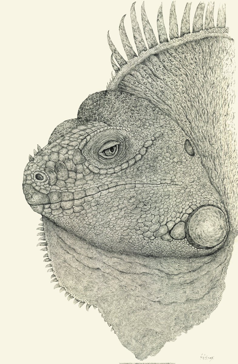 今年は初個展やグールプ展、公募展からハンドメイドイベントまで行いとても作家として成長できた１年でした…！

2026年もより多くの人にイグアナたちの魅力を届けられるよう精進していこうと思います。

来年もよろしくお願い致します🦎