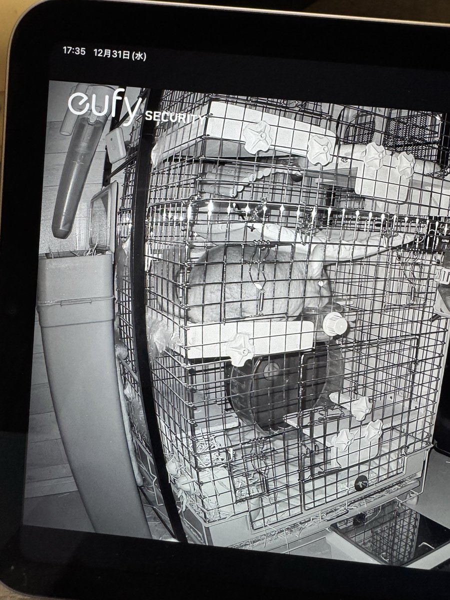 夕海ソラ@ｺﾐﾃｨｱ来年6月予定 (@kikuhimereka) / Posts / X