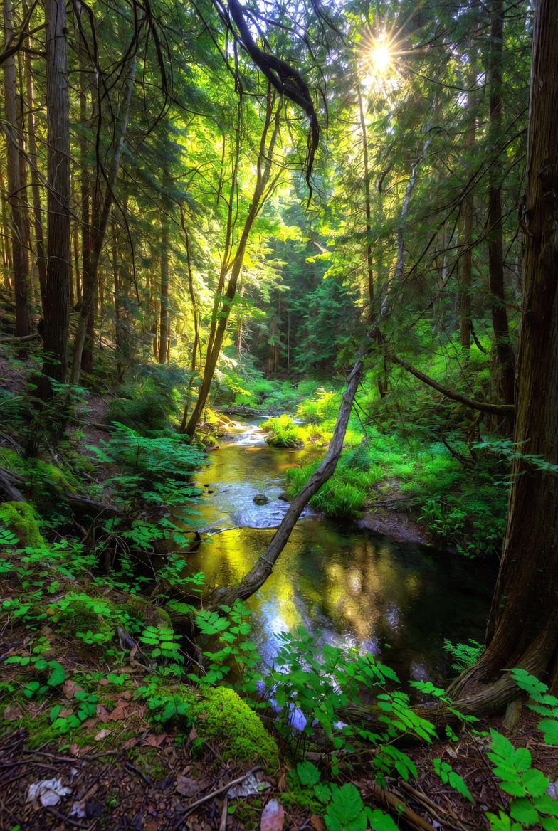 Ahmed Hassan tweet media