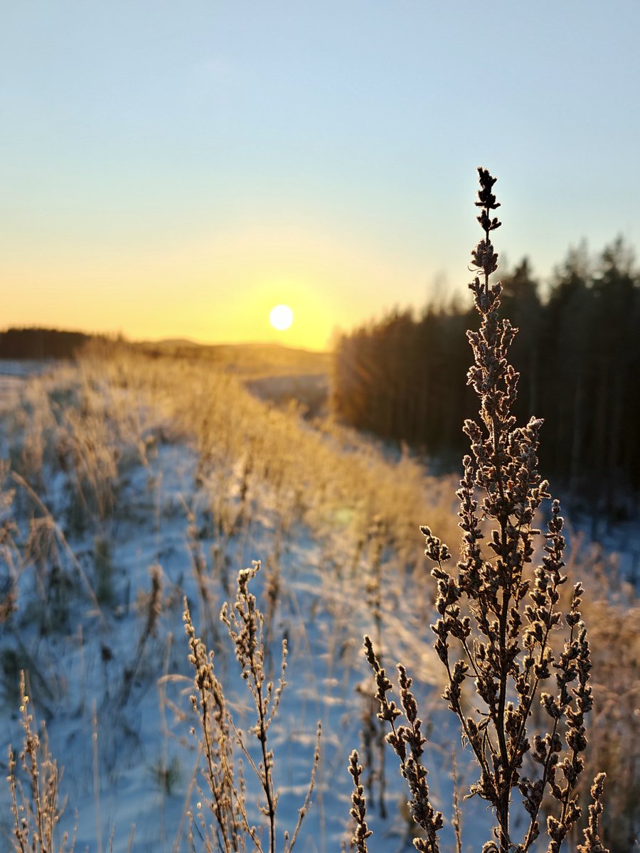 Kaunista uuden vuoden aikaa ☀️😊