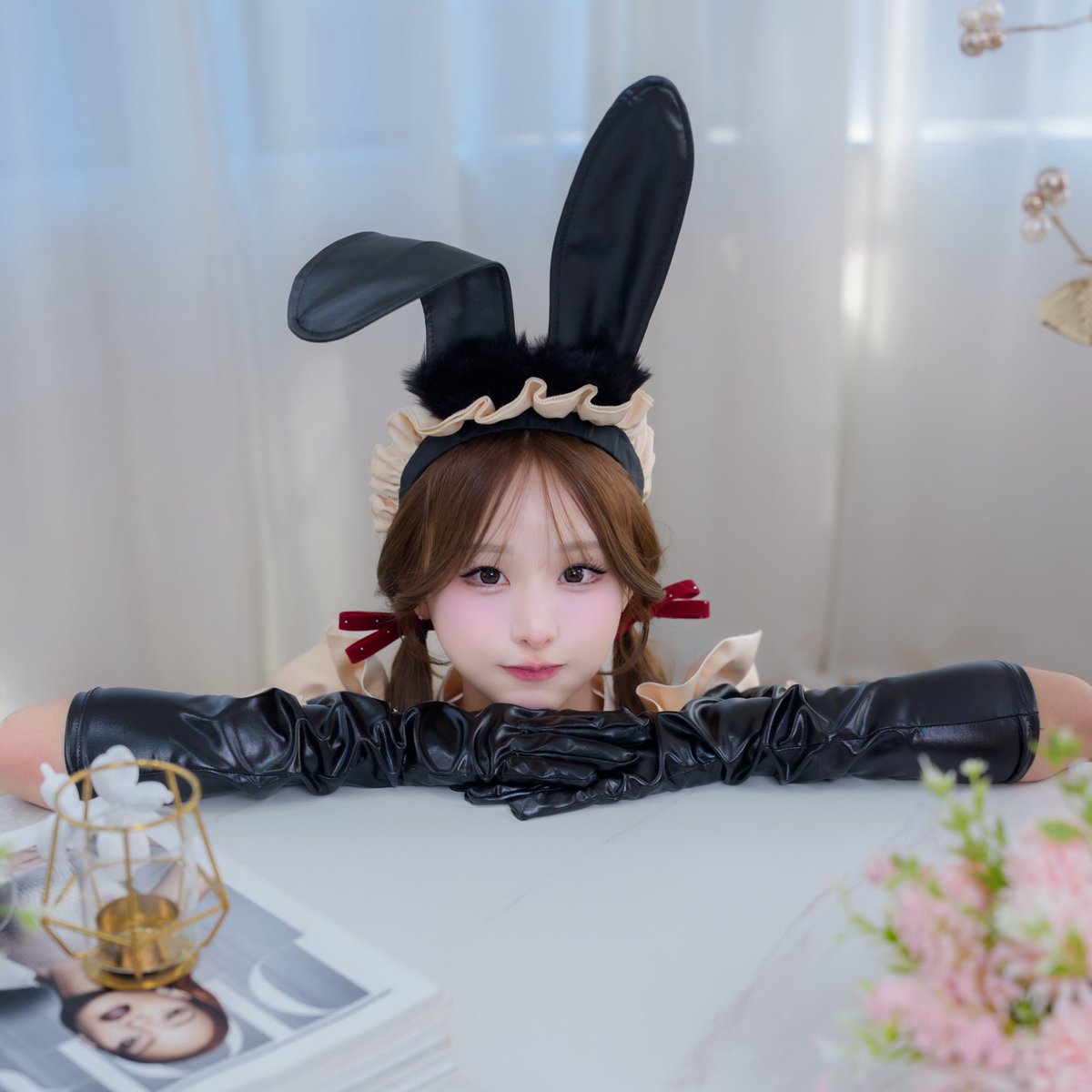 ぽんぽこりん おにゃんこぽんぽこりん🤍🪽 (@ccr_live) / Posts / X