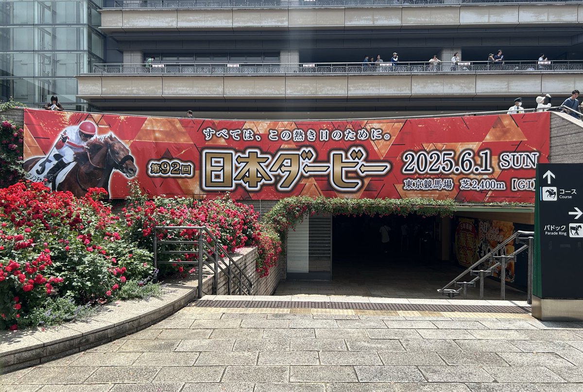 fbunkyo's tweet photo. 今年もありがとうございました。

2025年、プライベートでは、タイミング良くクラシック三冠を現地で観ることが出来たのが何より良かった〜！

皆さんも良いお年を！！ https://t.co/GkBT4UtQuL