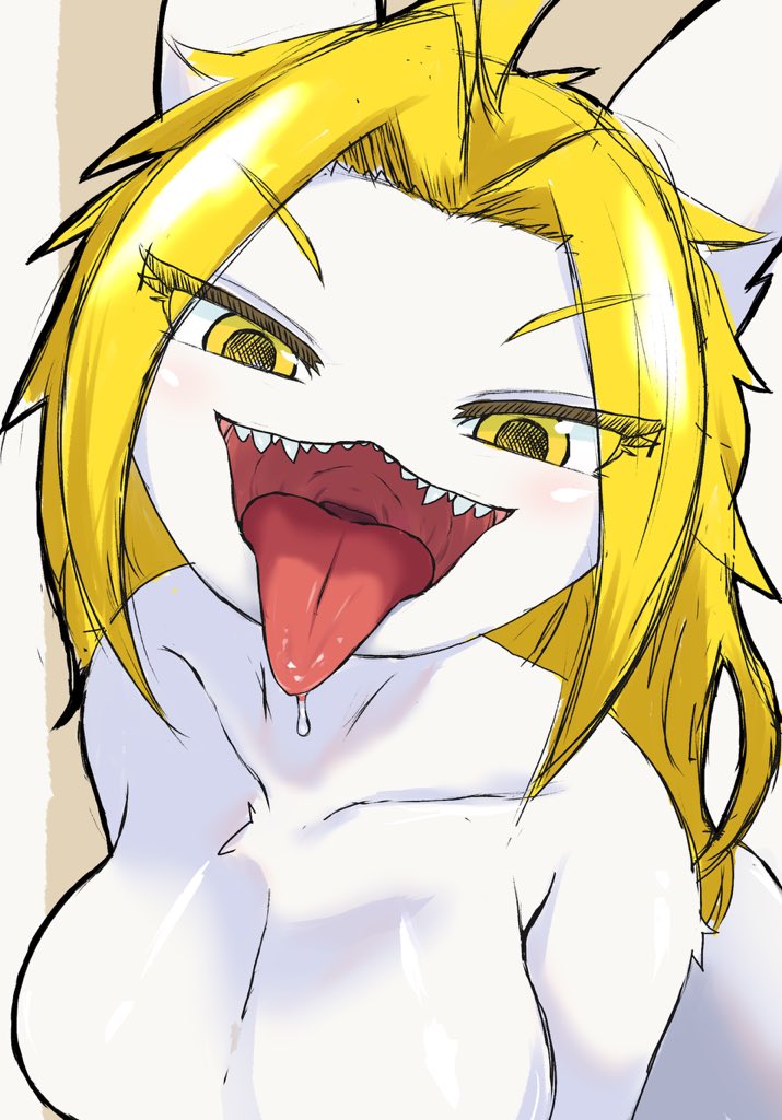 #2025年自分が選ぶ今年の4枚 