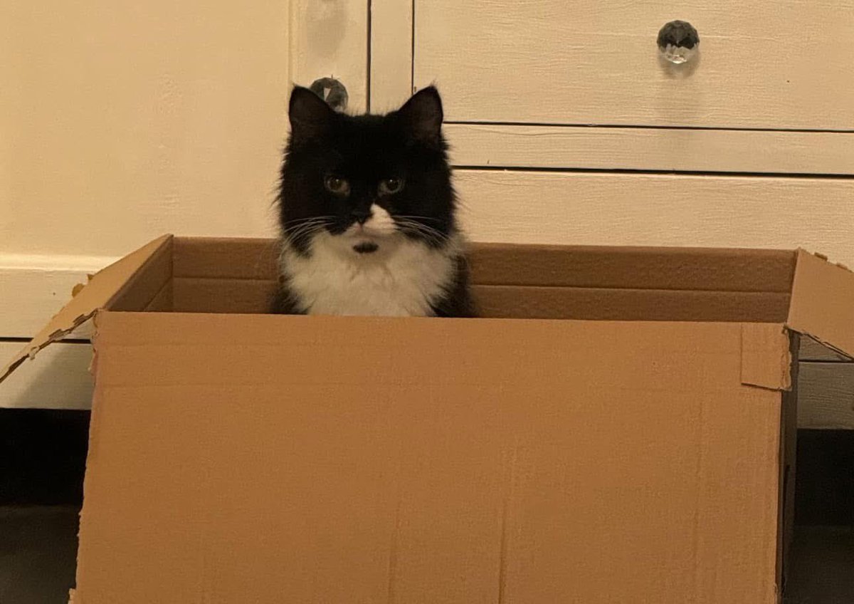 Friday Nights Chippy Night tweet media