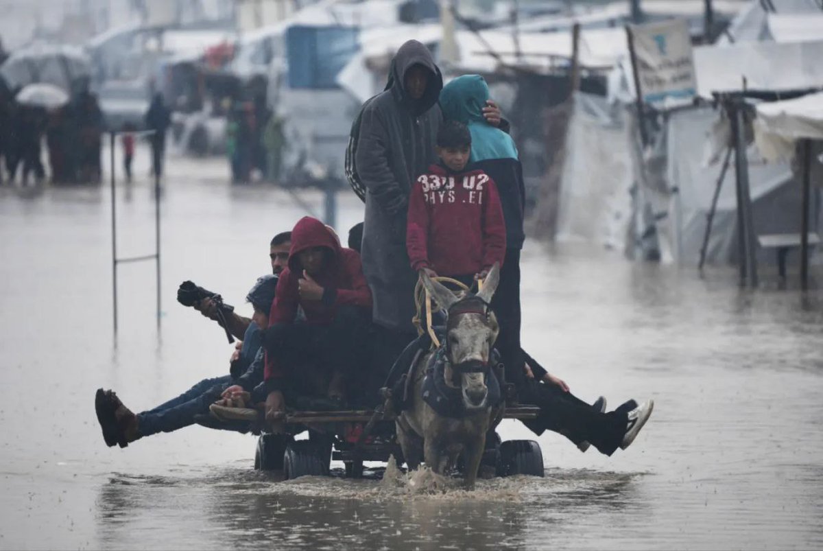ahmedshameya995's tweet image. While the world is celebrating Christmas, we're suffering in Gaza. #ChristmasEve