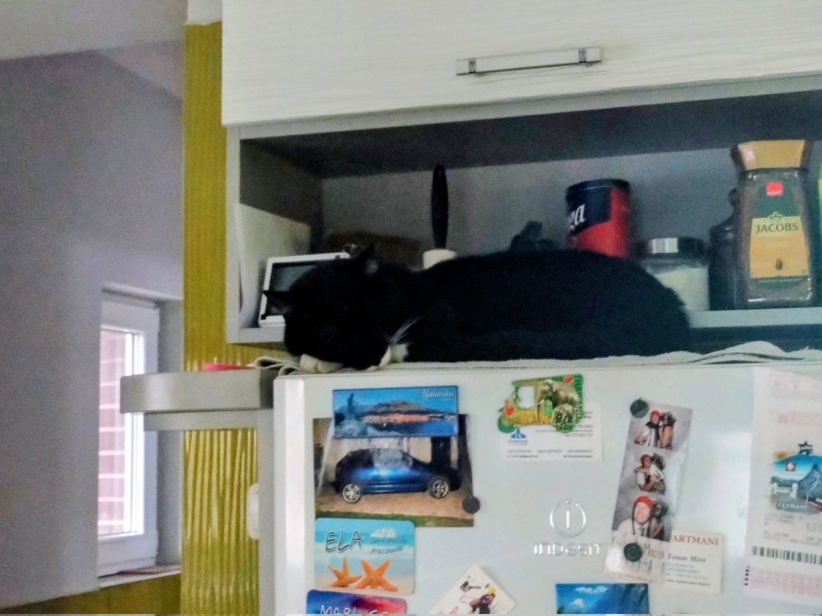 Lilithaen4's tweet image. Nadmek, kiedy leci to białe g....o z nieba 😆
#Nadmek #śnieg