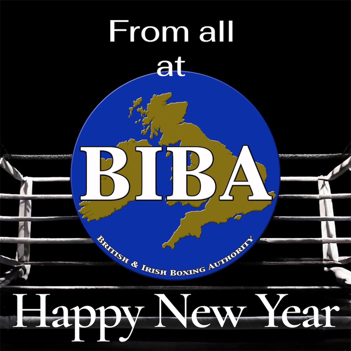 British & Irish Boxing Authority (BIBA) tweet media
