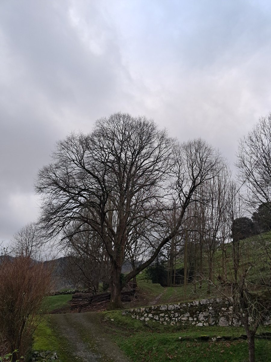 2025a arraroa izan da, gauza on batzuekin eta ez hain on askorekin, ea 2026an alderantziz den... Urte berri on guztioi!