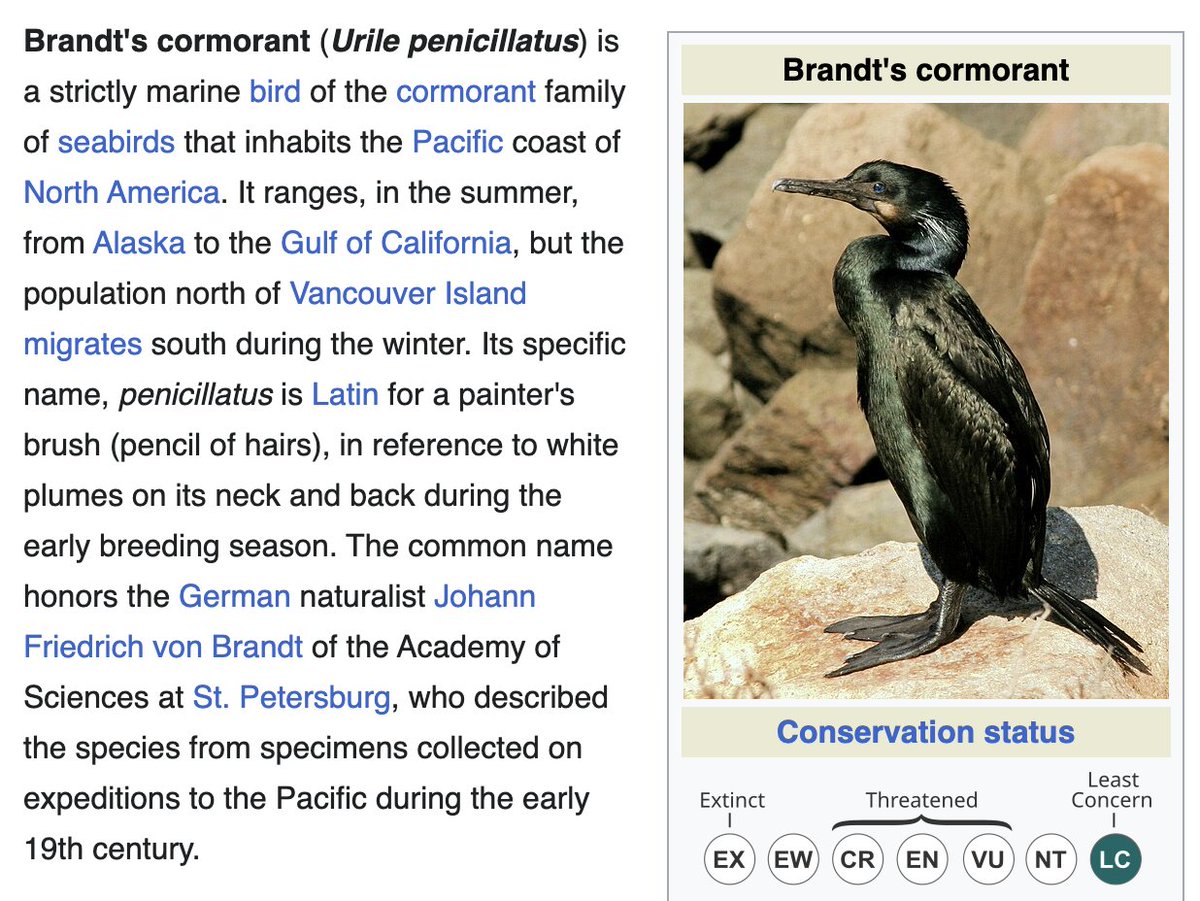 𝖒𝖊𝖆𝖙 tweet media