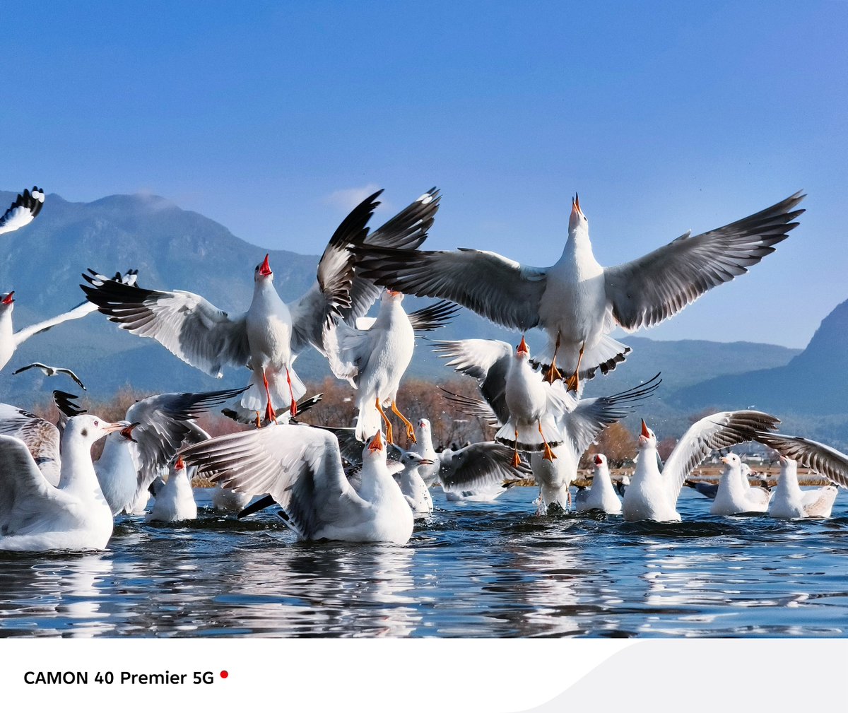 tecnomobile's tweet photo. Calm beneath, freedom in the air — perfectly caught, a fleeting moment lives on. Shot On TECNO #CAMON40Premier5G.
#ShotOnCAMON #CAMON40Series #PerfectSnapAnytime https://t.co/co3TwYrFJ6