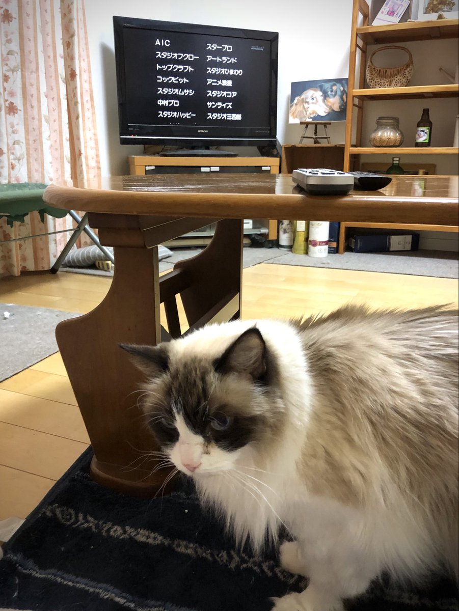 なんか久しぶりに「愛・おぼえていますか」を見た。歳をとったのだろうか、軽くだけど泣きそうになった（笑）