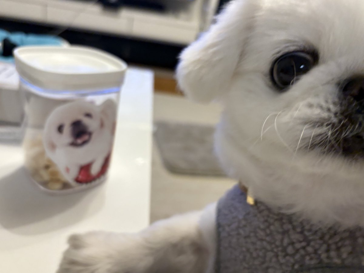 もっちむ。 (@mkra0425mkra) / Posts / X