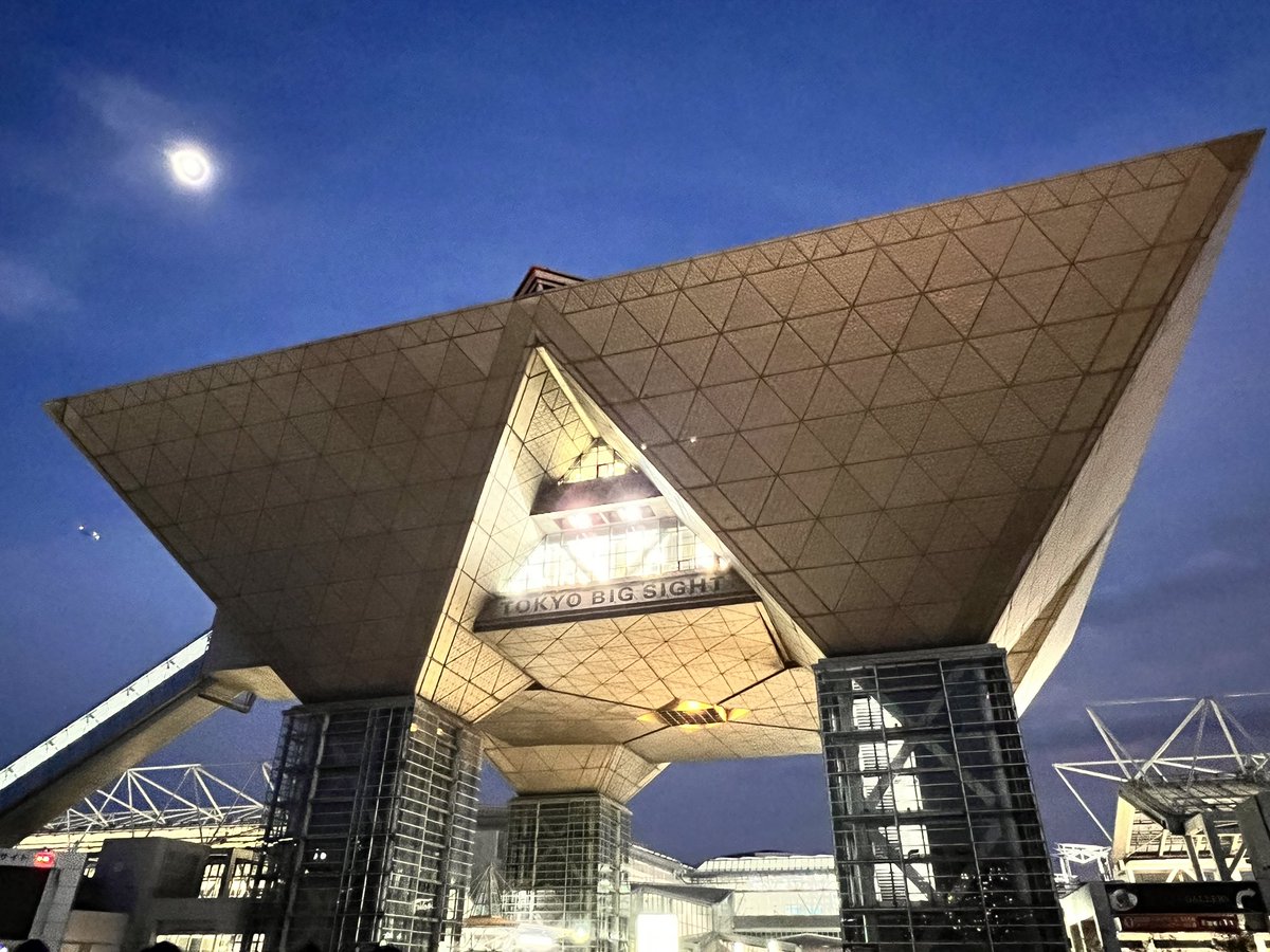 うずらさま確認ページ♡ 田んぼにやってきた野生のウズラたち | Tori Note -茨城の野鳥観察日誌-