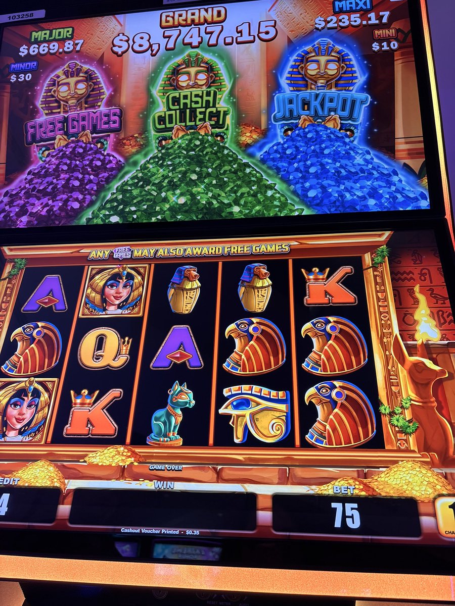 PrincessCleoft's tweet image. send me gambling money 🥰💋

Findom femdom femdomme paypig finsub