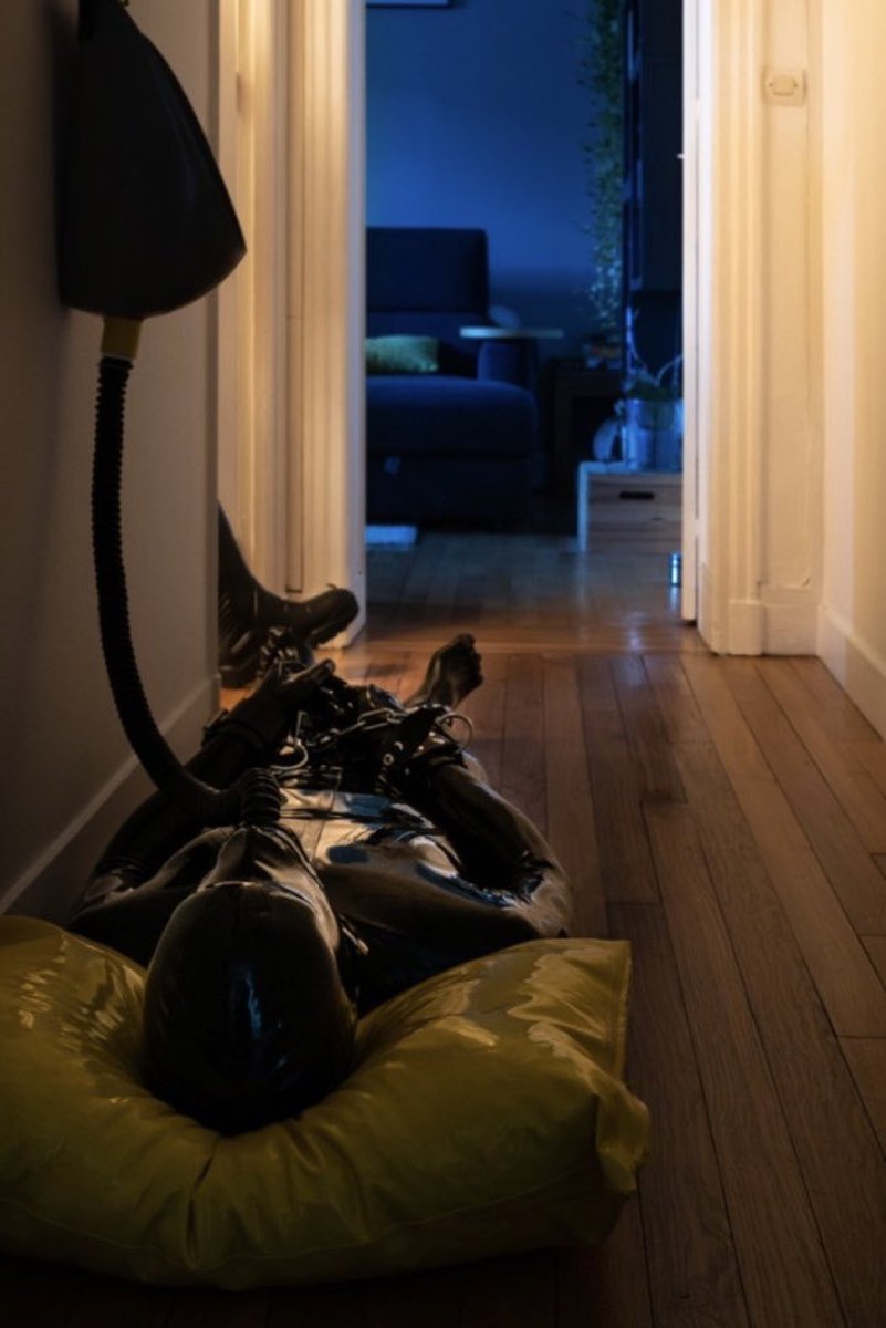 Pig 🐖 tweet media