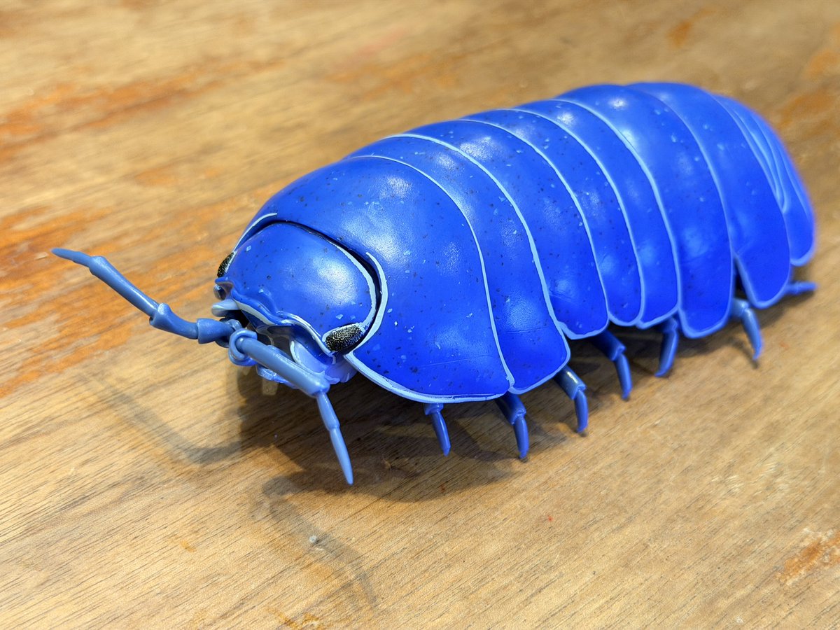 ダンゴムシページ だんごむし｜ずかん｜いきもの大図鑑｜ガシャポンオフィシャルサイト