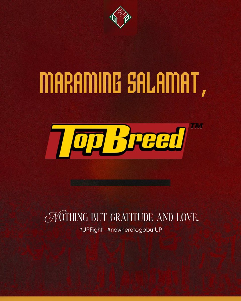 UP Fighting Maroons tweet media