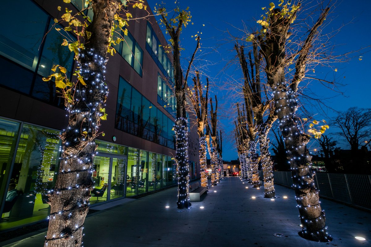 Dublin City University tweet media