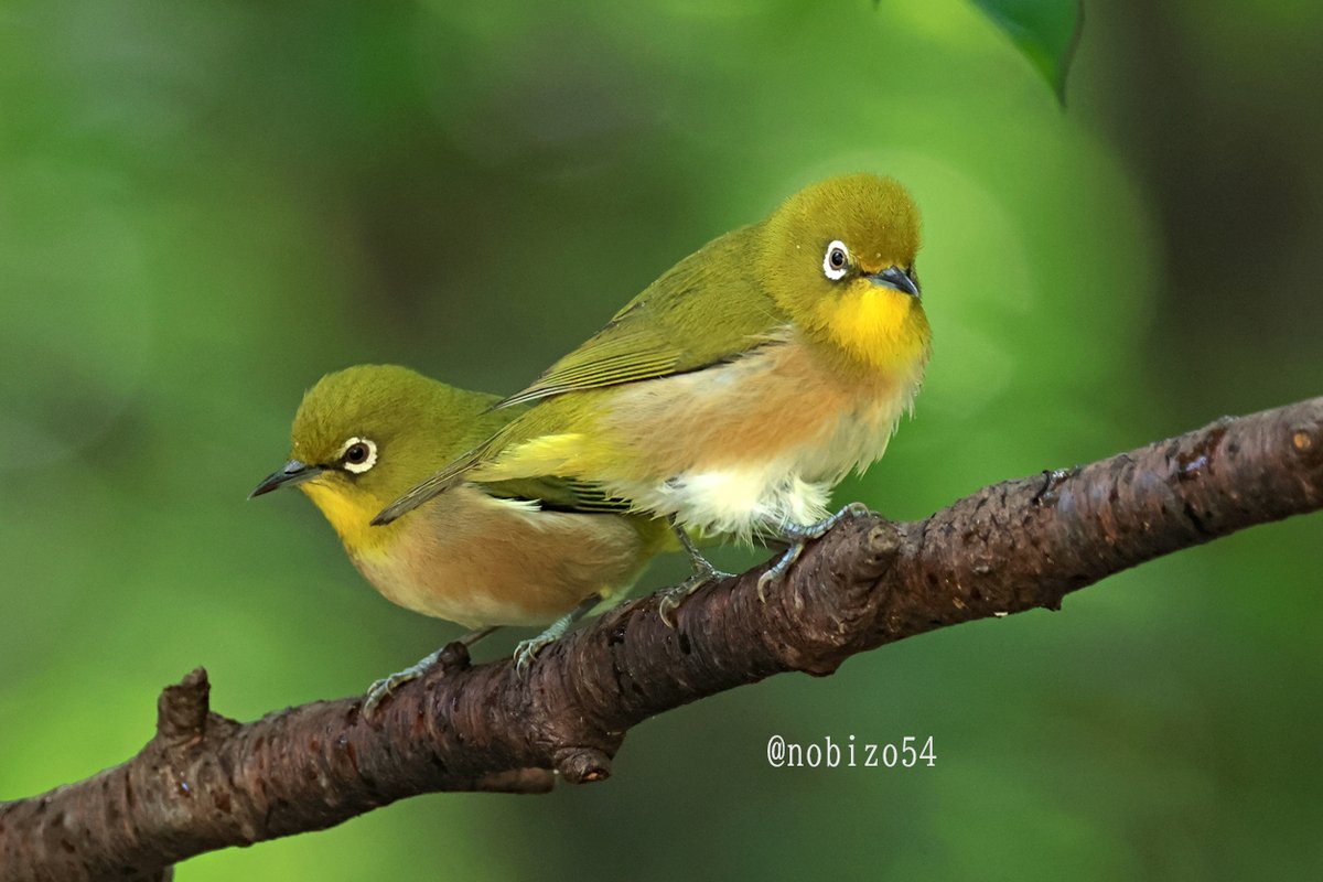 2025大晦日。 今年も反応いただき ありがとうございました。 年間で一