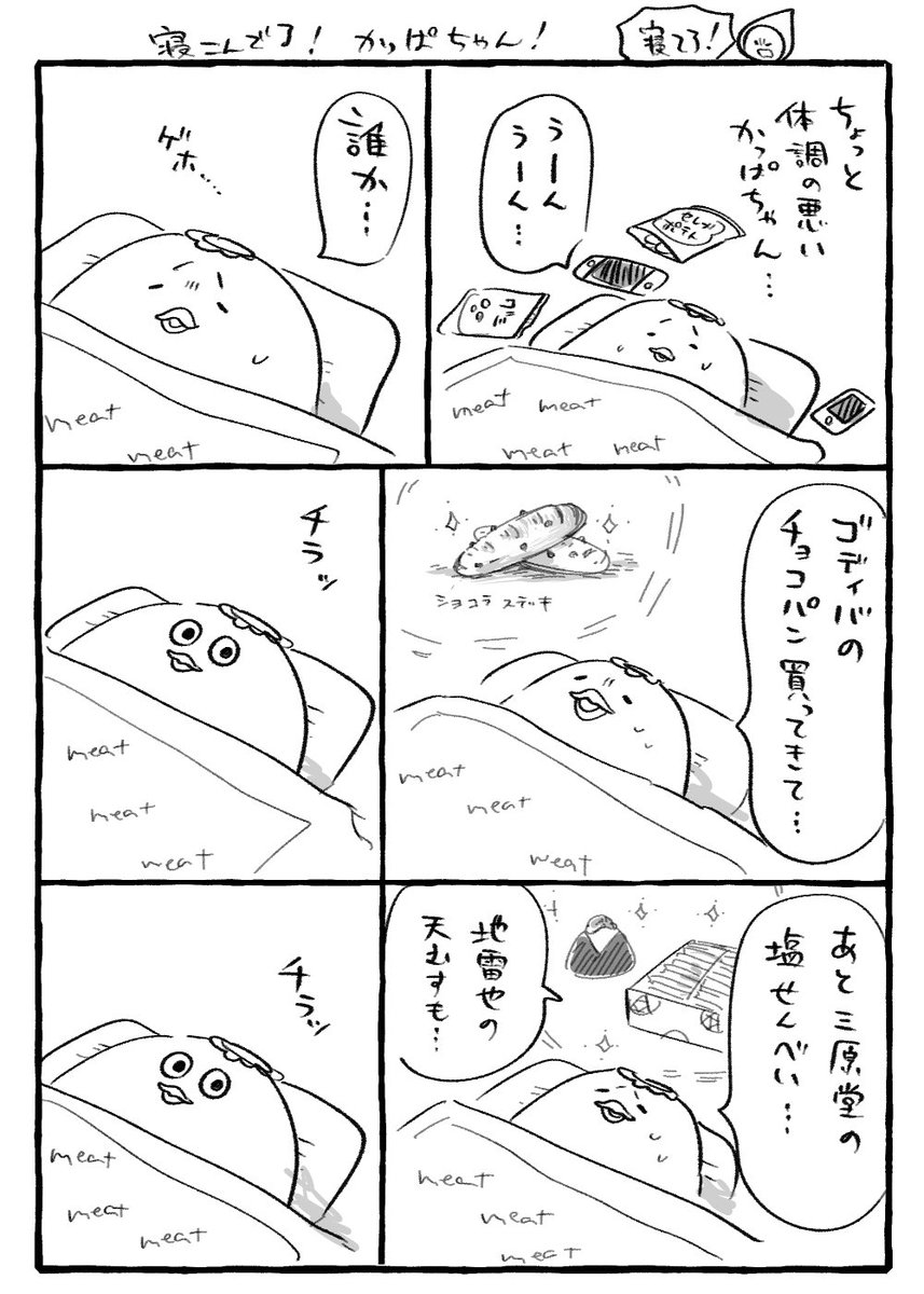 寝てろ!かっぱちゃん!
(かっぱは元気なのでご安心ください) 