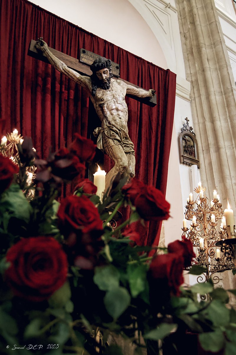 Última foto del año, último miércoles del año.
<a href="/SietePalabrasVA/">Siete Palabras</a>