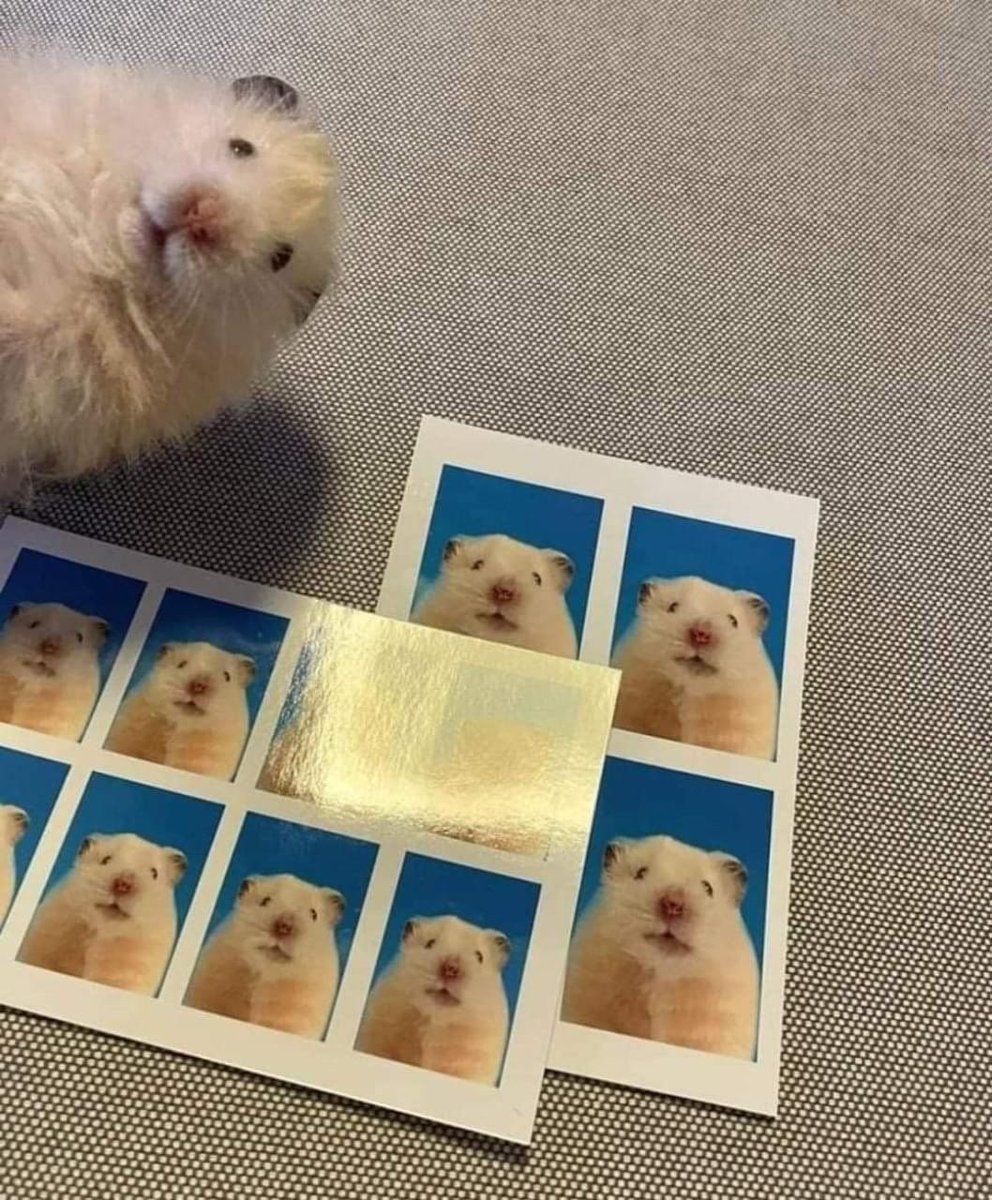 화난 애햄이 바이브