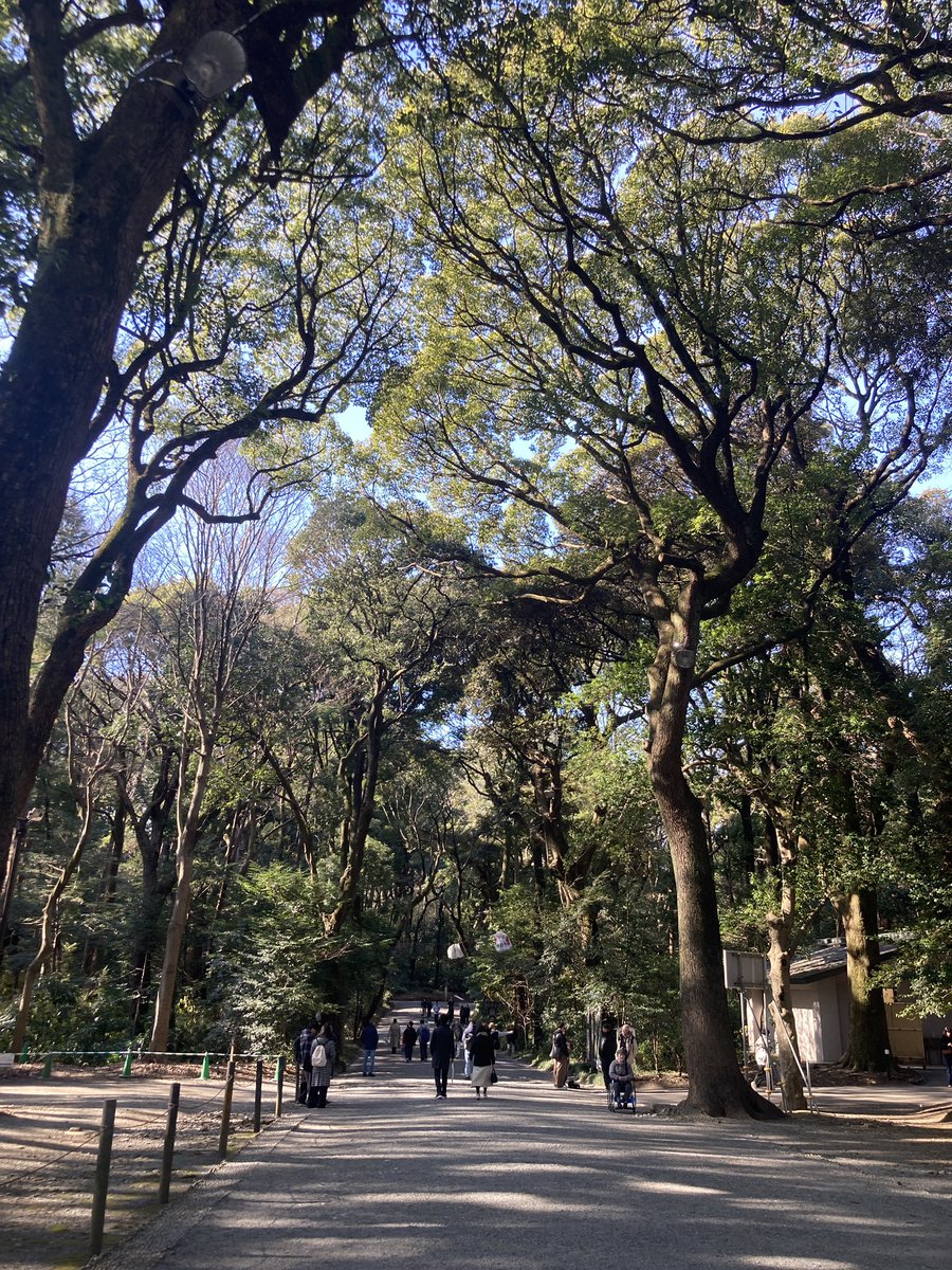 showmakamura's tweet photo. 今年も沢山お世話になりました。
皆様良いお年をお迎えください。
また来年もよろしくお願い致します。 https://t.co/71rpPtjJPl