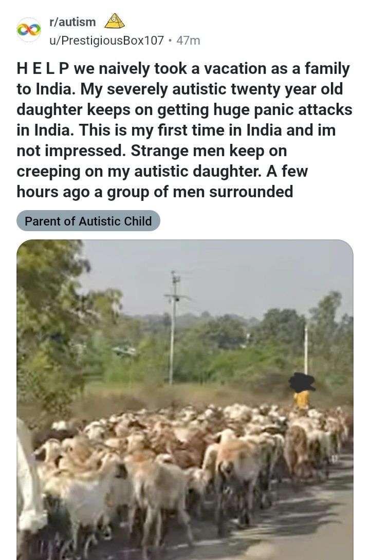 Reddit Lies tweet media