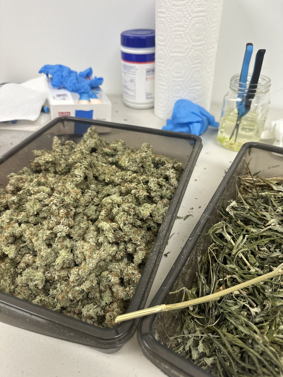 13 oz in 4 1/2 hours, i’d say that’s pretty good😮‍💨🤣 this photo was around 9-10 zips