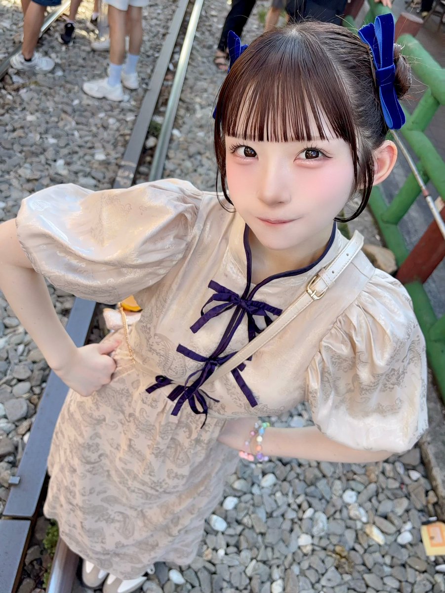 ひめにゃん ひめにゃんが2025年に投稿した写真の中から個人的にお気に入りの写真を