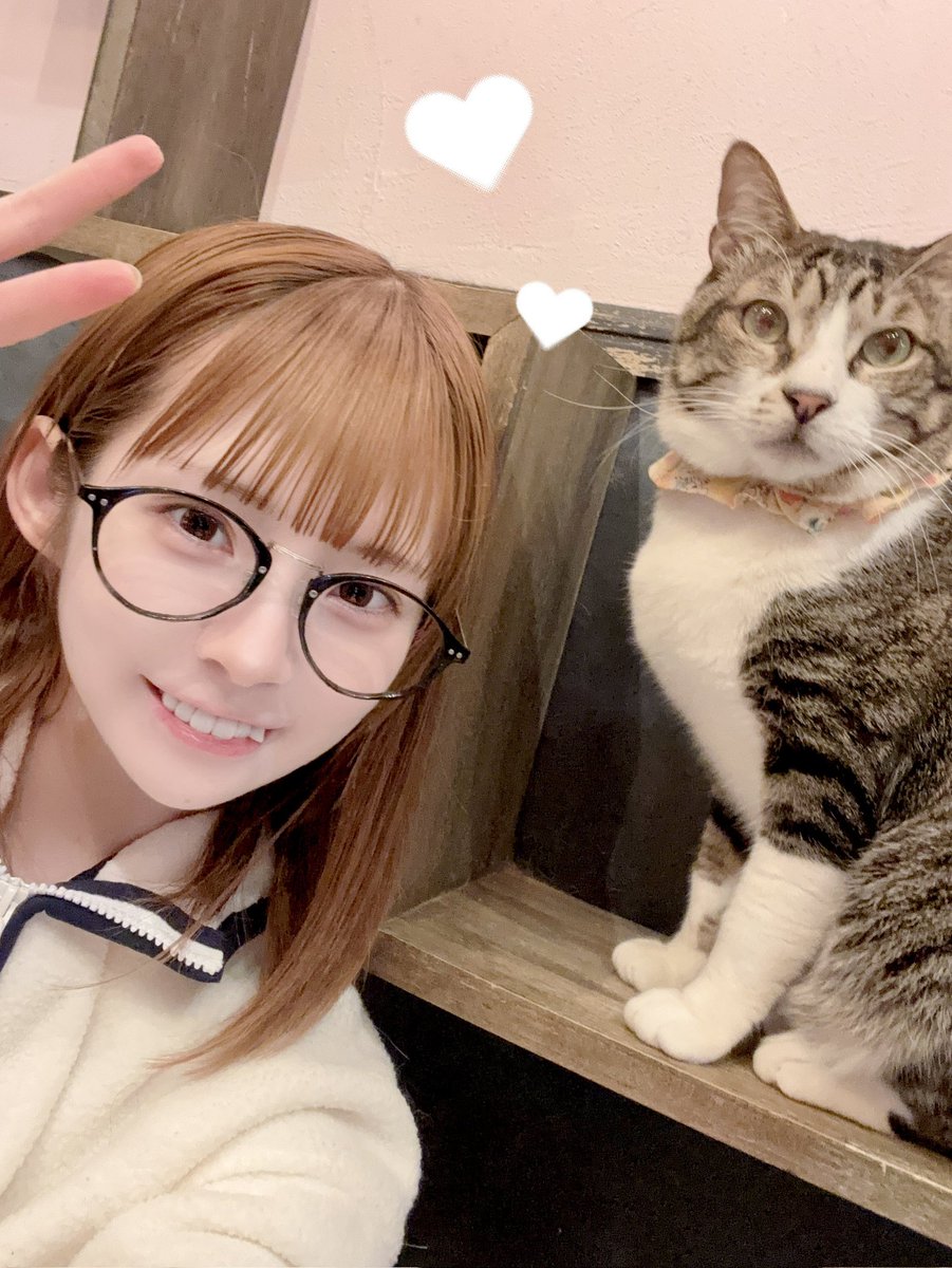 ひめにゃんが2025年に投稿した写真の中から個人的にお気に入りの写真を