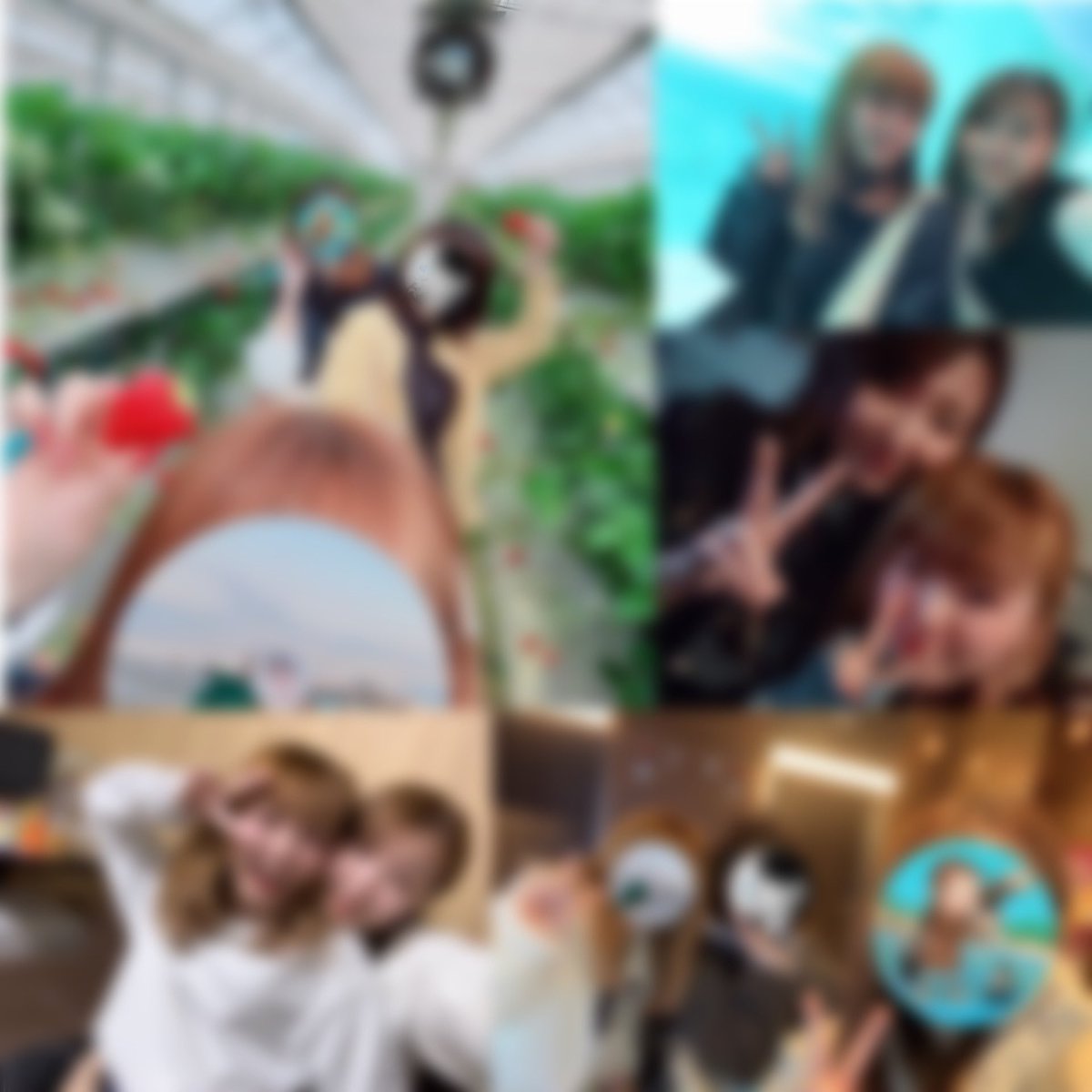 soora_278's tweet photo. 2025年の思い出〜🥰🫶🏻 https://t.co/z0VYfGgBlN