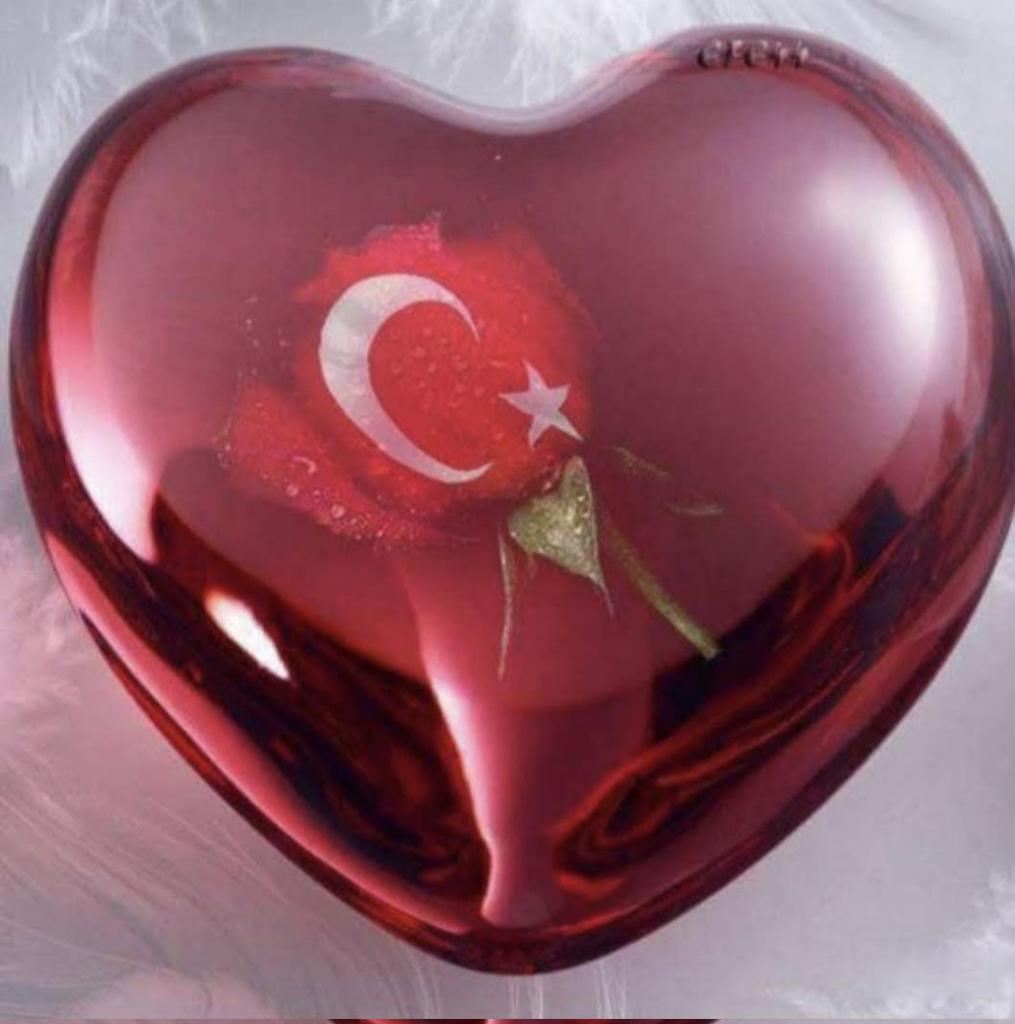 Memur Emeklileri Platformu 🇹🇷Ⓜ️☪️🇹🇷 tweet media