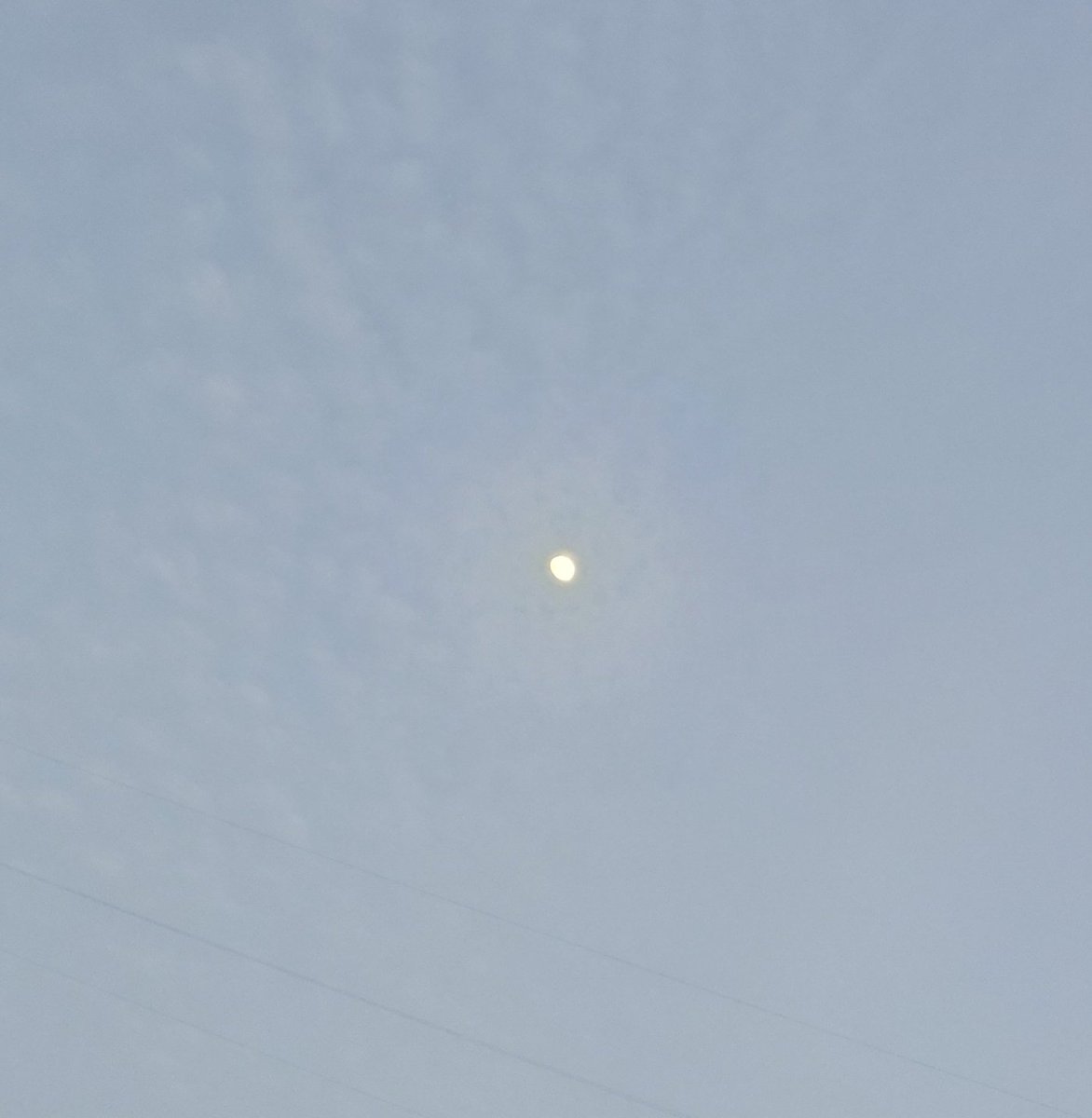 17時と17時半のお月さま🌛

皆さま良いお年をお迎えください🙂‍↕️