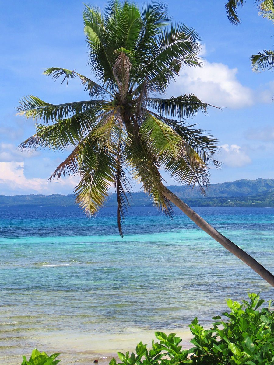 simplesim_v3ga's tweet photo. Noël sous 30°C ? Direction les Philippines ! 🎄☀️ Un archipel magique pour passer l'hiver au chaud. Le petit plus ? Ici aussi, ça capte avec votre eSIM https://t.co/OfmmgYN2T4 ! Envoyez vos photos de plage en un clic. 📲🏝️ #NoelAuSoleil #Philippines #Travel #SimpleSim https://t.co/BUenOgKuh1