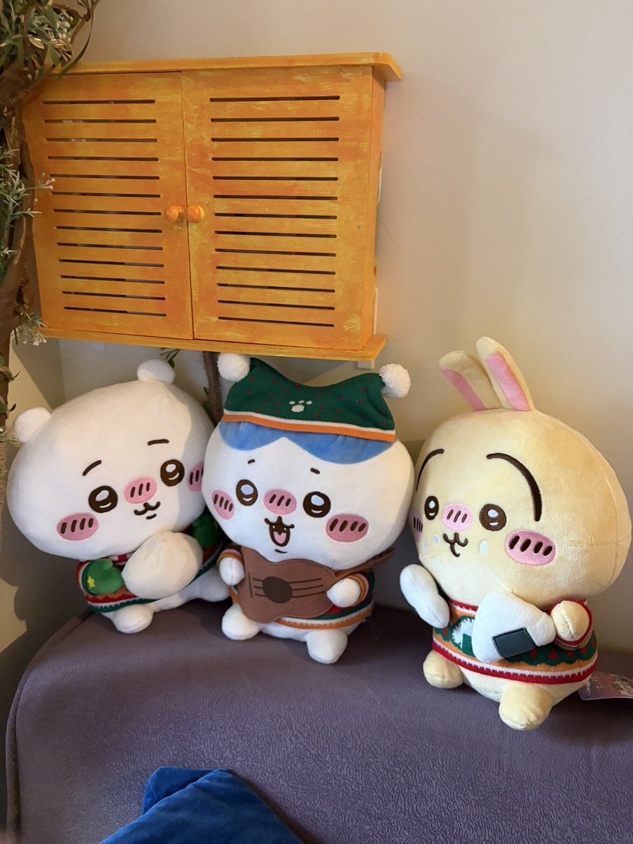 abaruzz's tweet image. I love them so much 🥹🥹🥹