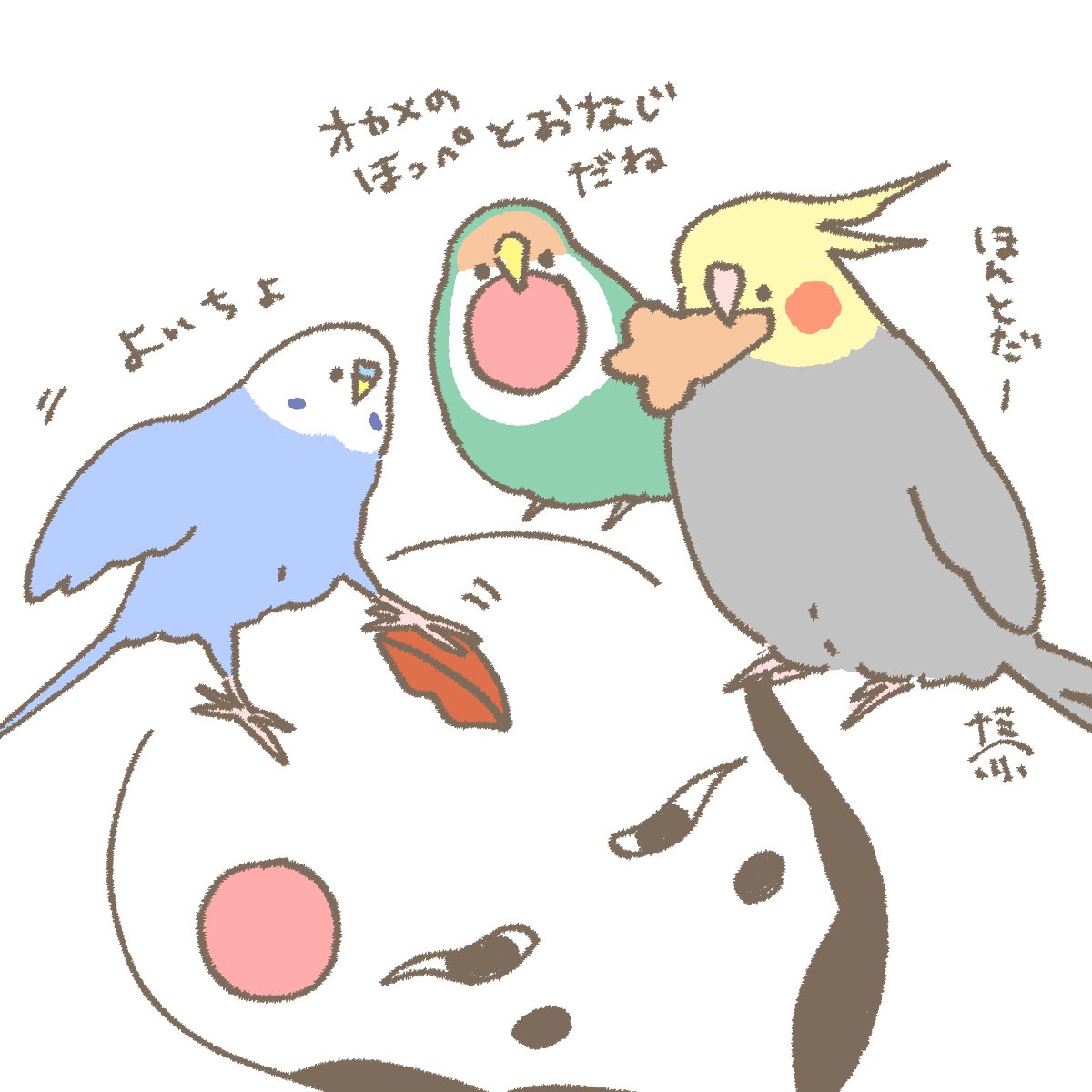 おはようございます☀️
1月3日(土)の朝です。

オカメとおかめの対面 