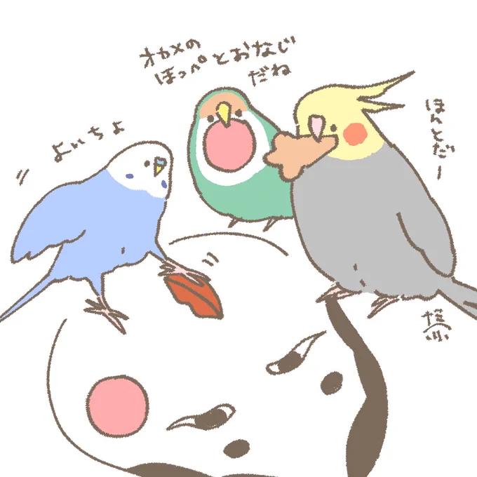 おはようございます☀️
1月3日(土)の朝です。

オカメとおかめの対面 