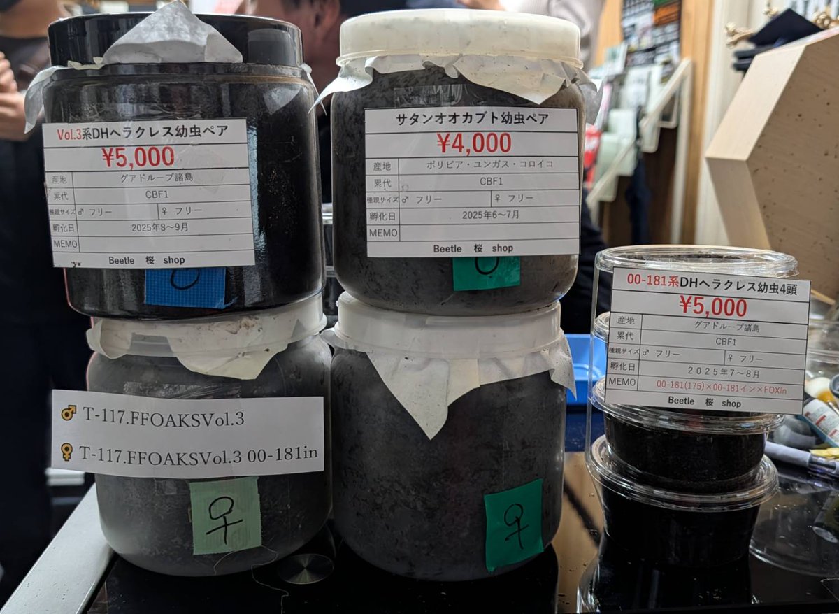 年明けに向けていろいろと用意しております。