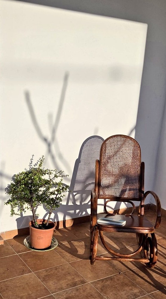 Silvia M.F. tweet media