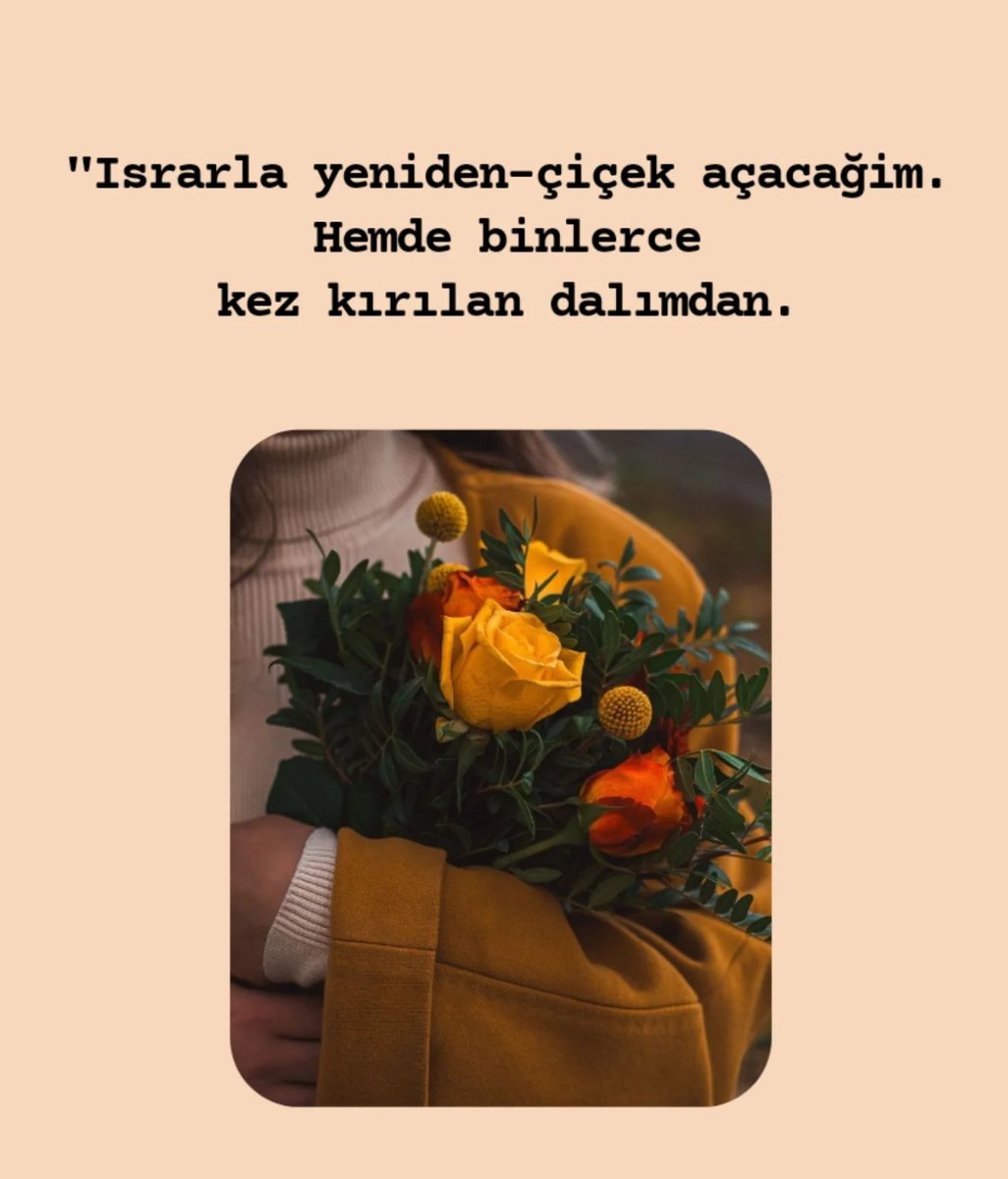 Ardıç Kuşu tweet media