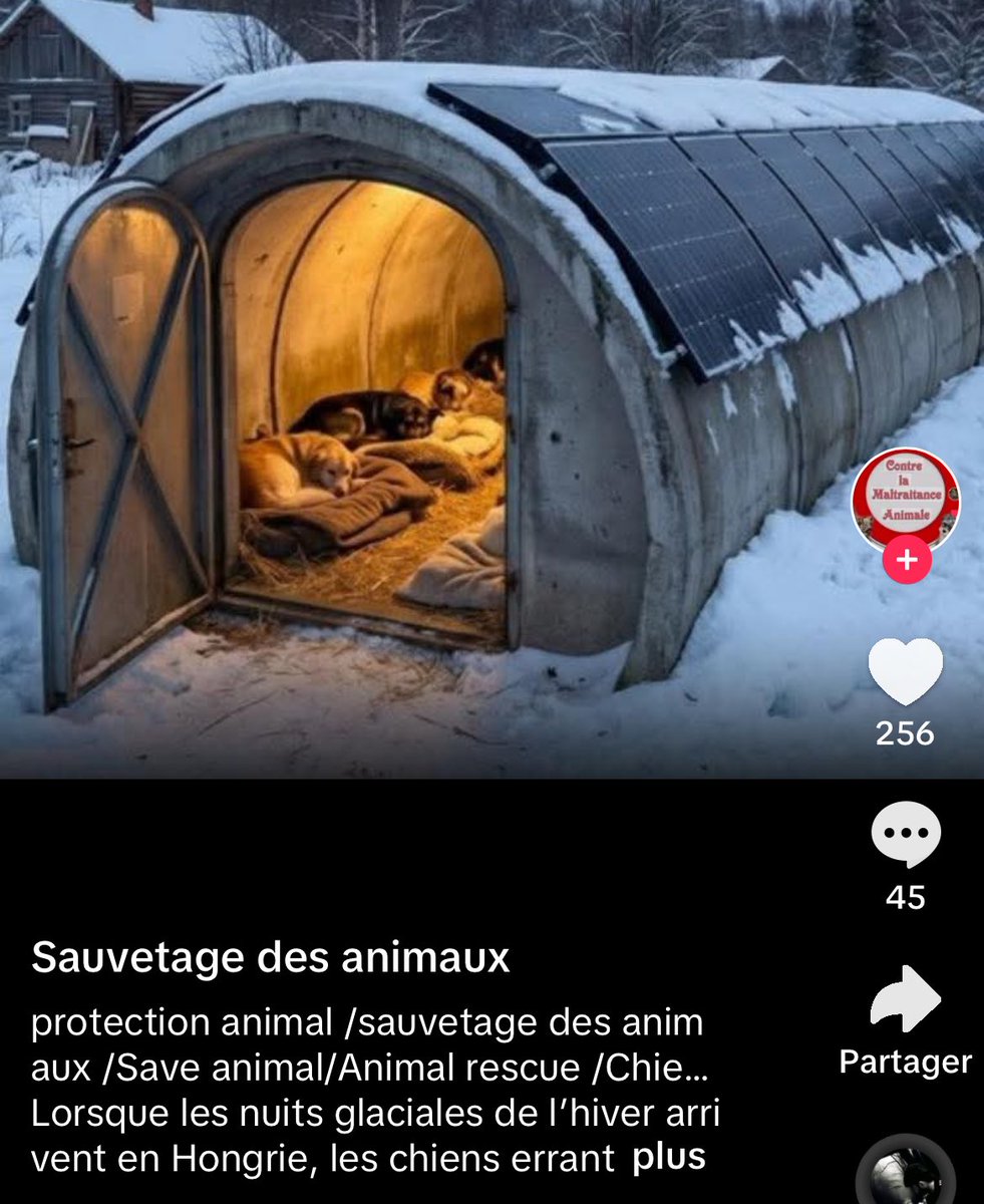 Debunker des Etoiles tweet media