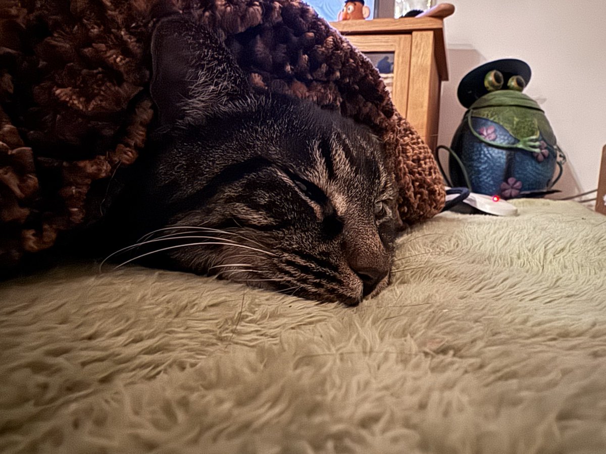 今年も何だかんだありましたが無事に乗り越えれました😊
我が家はコタツで年越しします。
皆様良いお年を✨