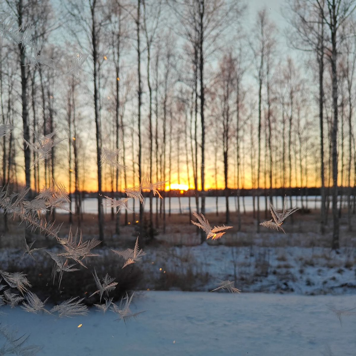 Hyvää uutta vuotta, on aika toivoa, elää, unelmoida 🥳🎉✨🌟 #newyearseve2025 #HappyNewYear2026