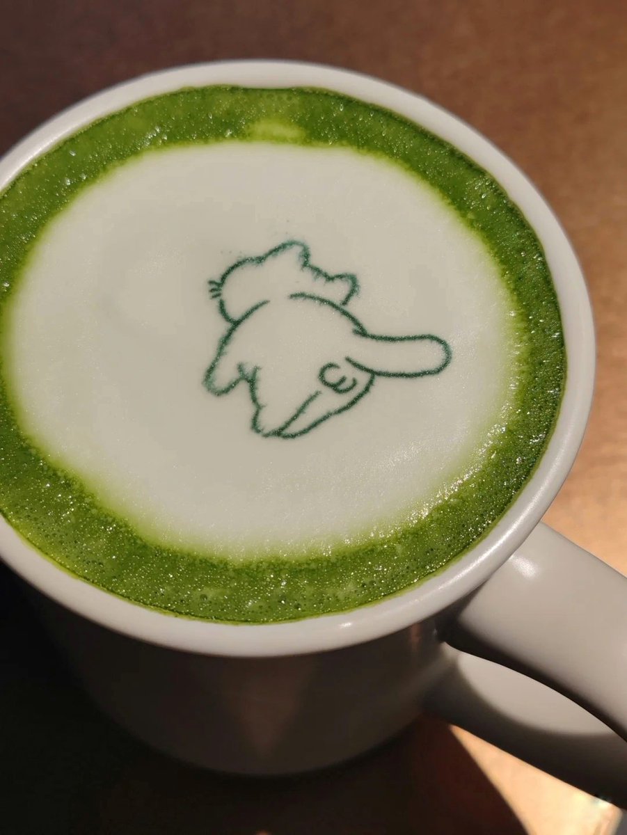 Matcha :3