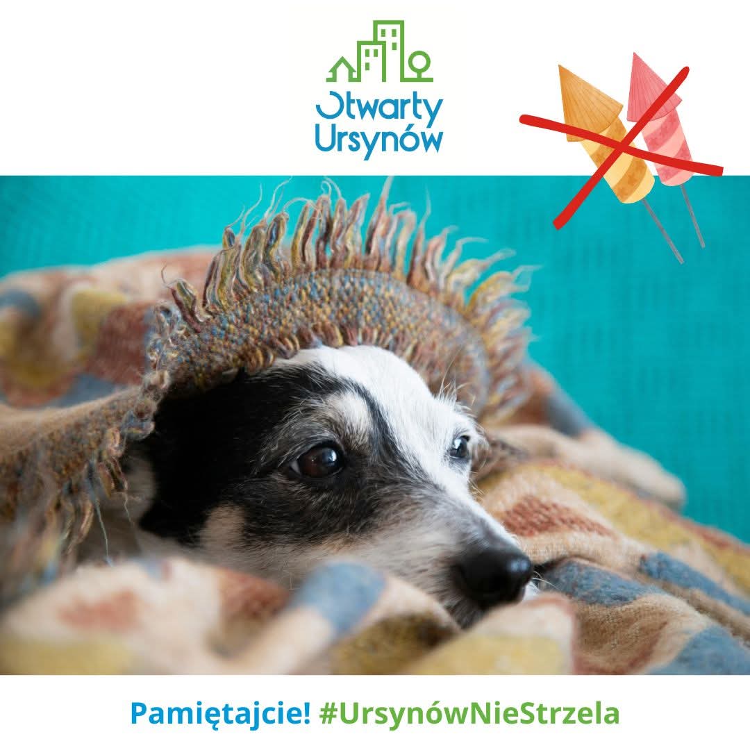 OtwartyUrsynow's tweet photo. Pamiętajcie! #UrsynowNieStrzela https://t.co/mydLSDbvhH
