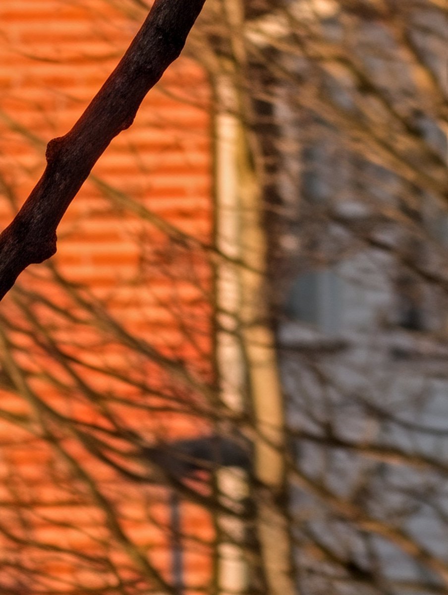 Alessio Salvadorini 💙 tweet media