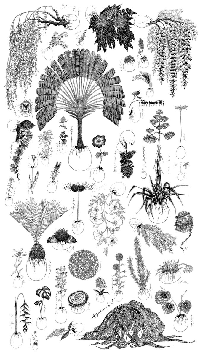 2025年自分が選ぶ今年の4枚 思ったよりたくさん描けました！ 今年も