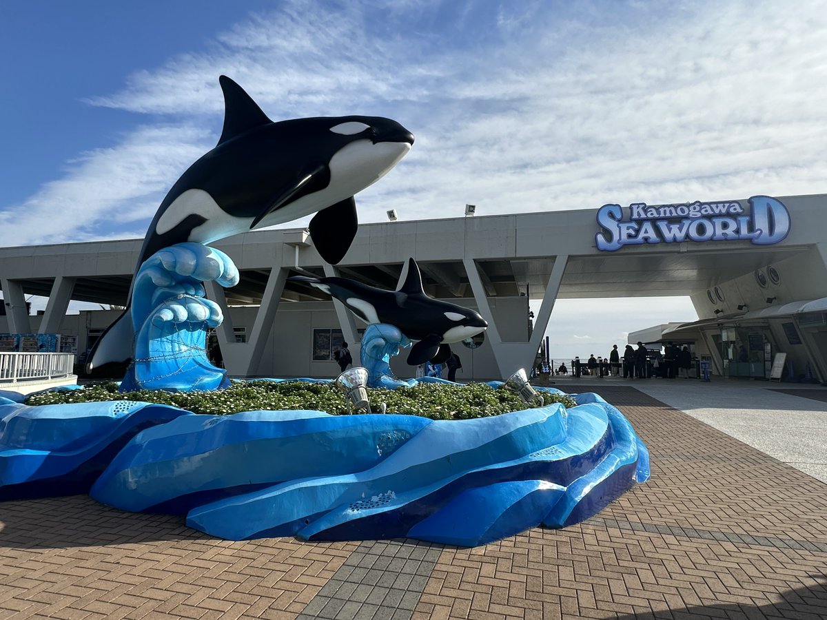 ついに鴨シー来ちゃいました✨